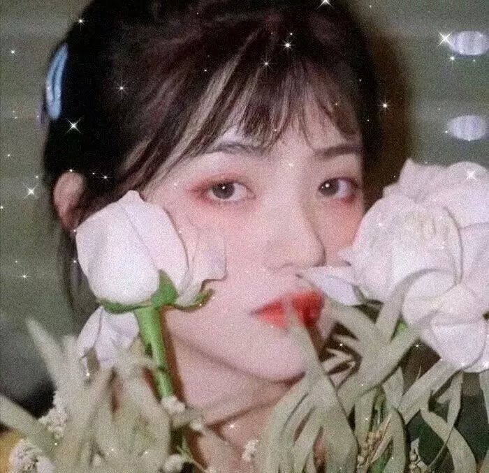 一曲相思情未了